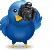 Twitter's eigen fotodienst haalt andere apps in