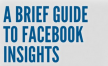 A brief guide into Facebook Insights